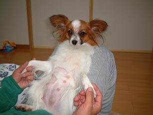 �D�w�̂����